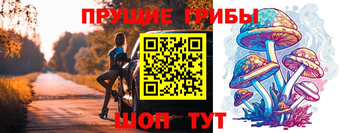 Москва  Псилоцибиновые грибы GOLDEN TEACHER  Вход с VPN 